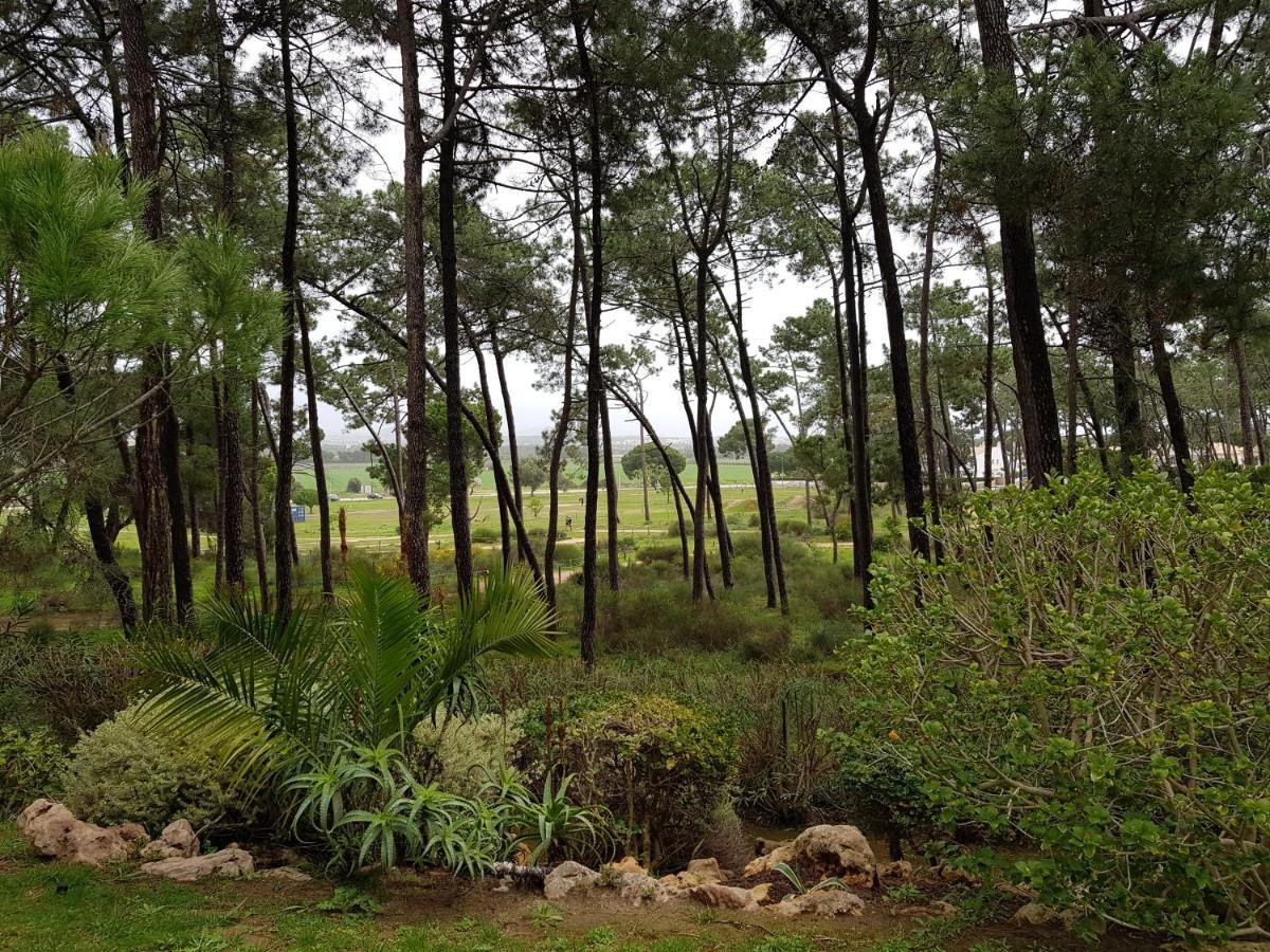 Excellent T2 With Pools 400m Falesia Apartment *
